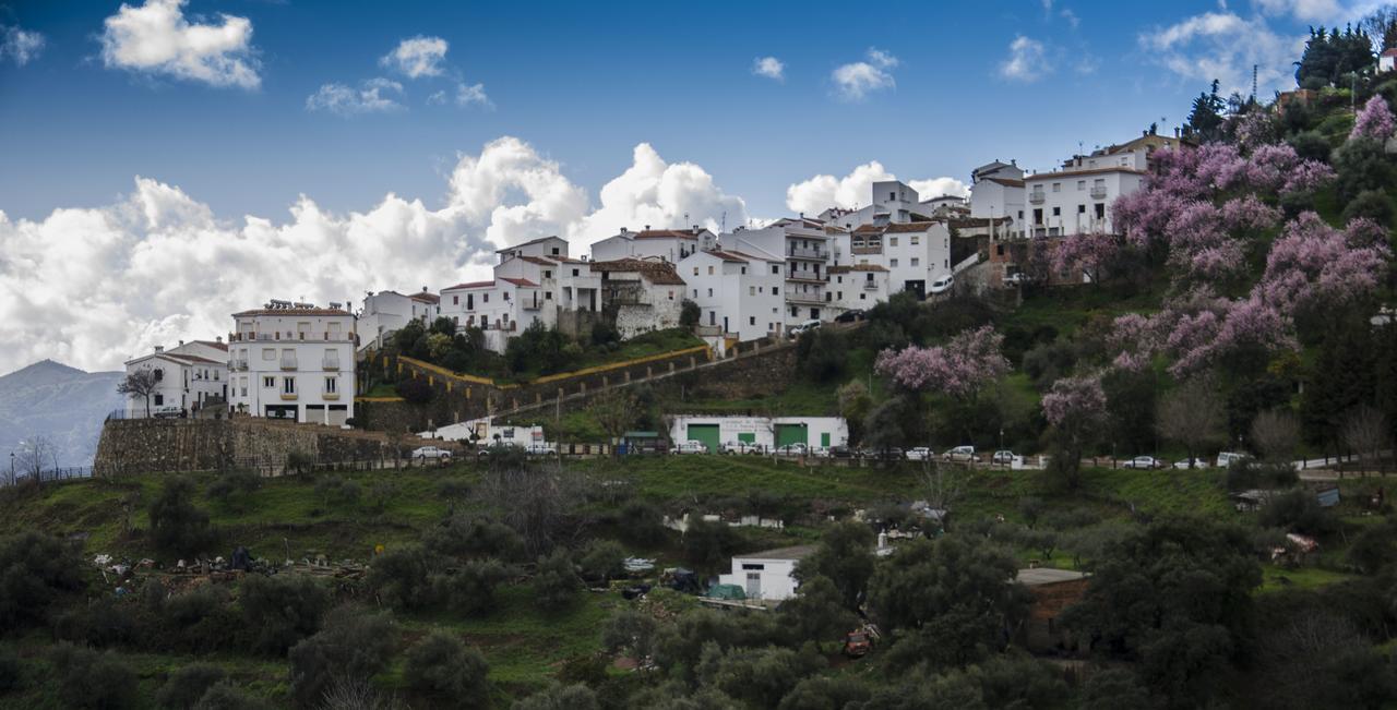 Вілла Casa La Puente Jubrique Екстер'єр фото